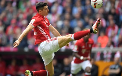 BBV电竞动态-以色列队主帅续约至下届世界杯